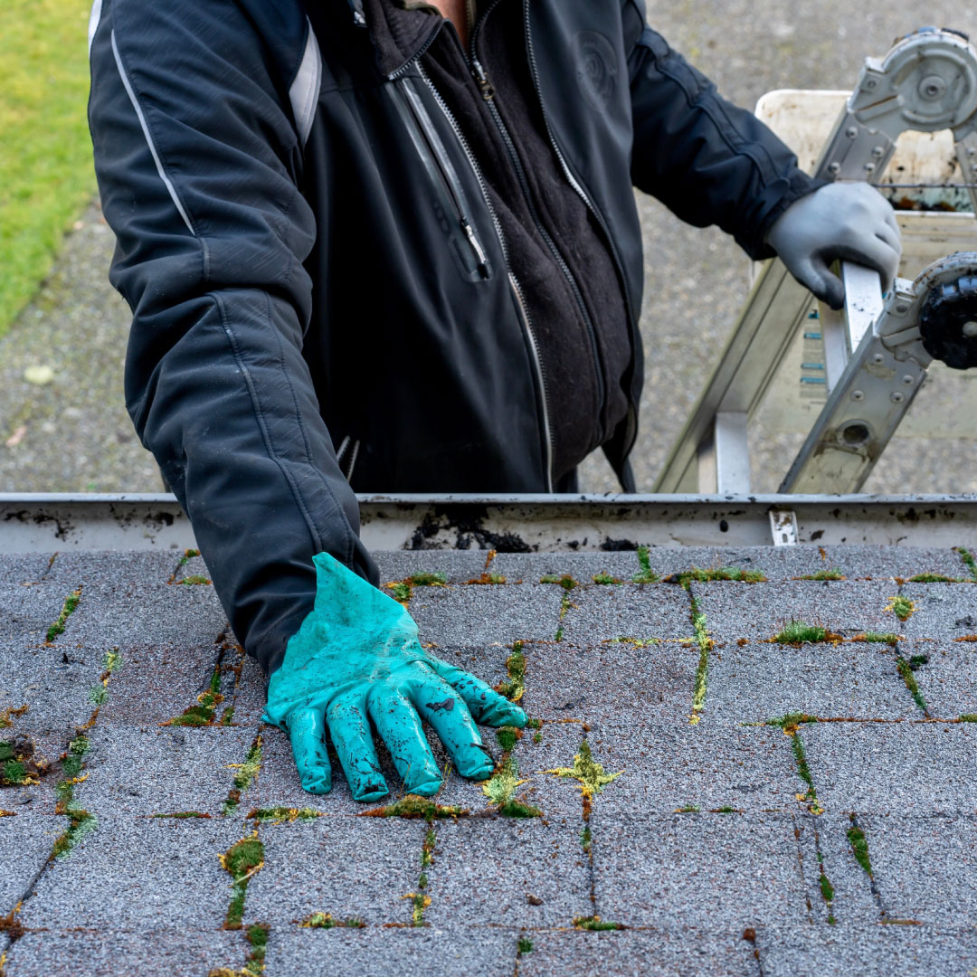 worker on ladder cleaning moss off roof