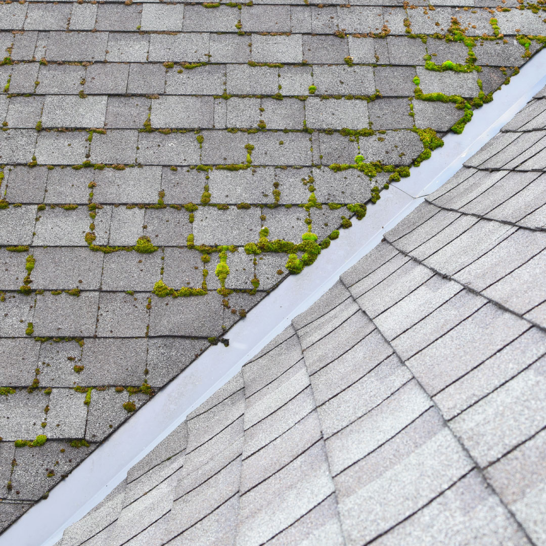 grey roof with moss cleaned from one aspect