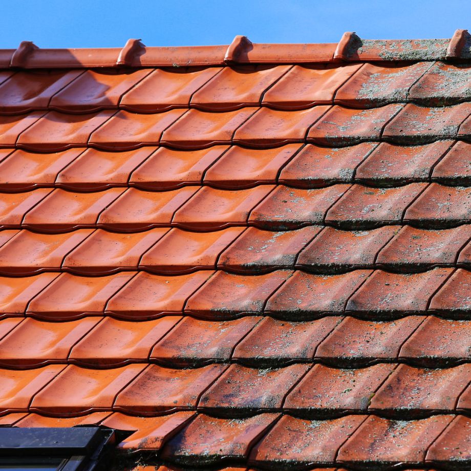 terracotta tiled roof with moss removal completed on one side