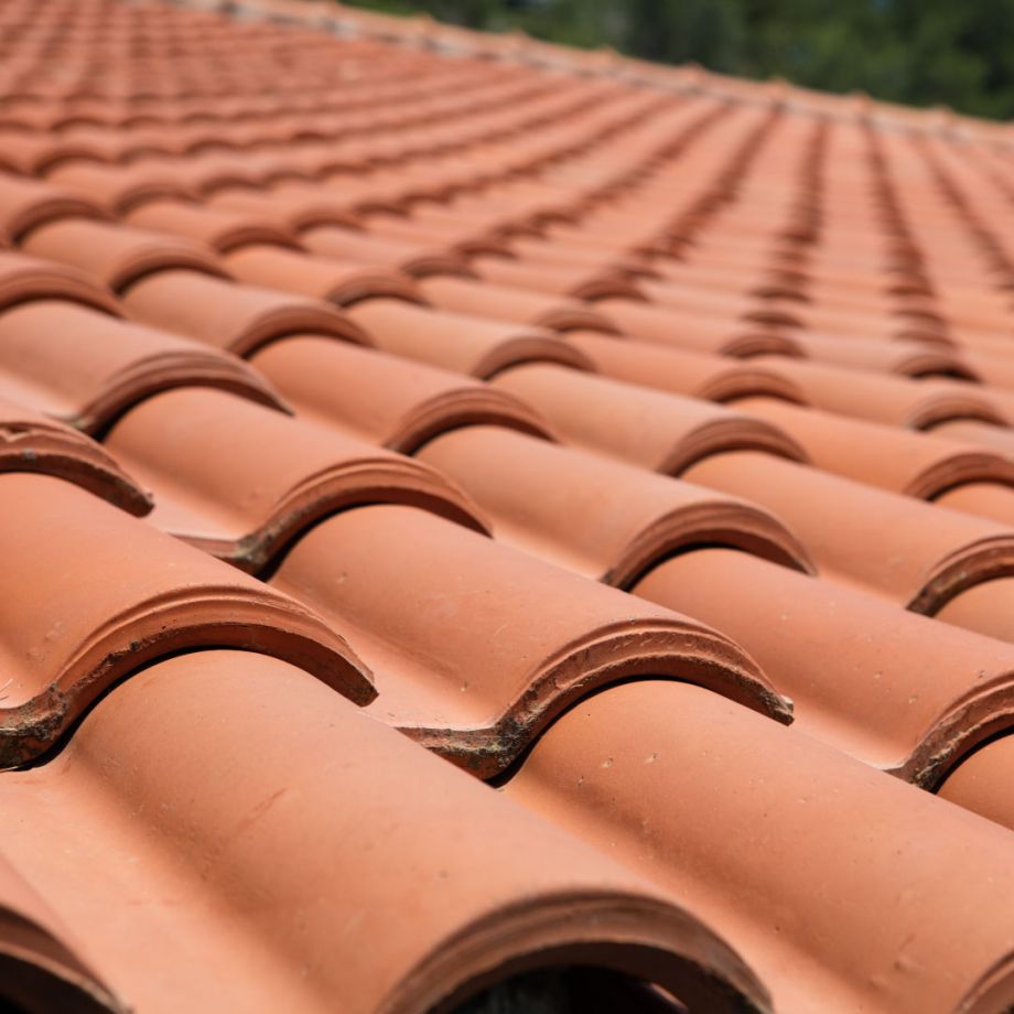 close-up of tiled roof after cleaning 
