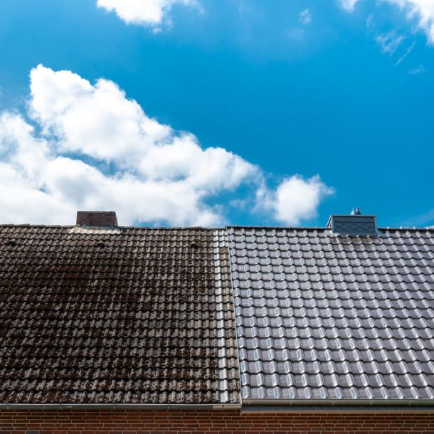 Roof cleaning
